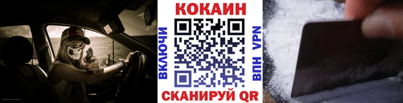 дарнет шоп  Советская Гавань  Cocaine Fish Scale 