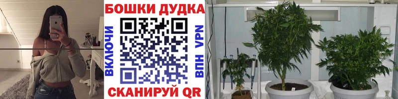 Каннабис AK-47 Советская Гавань
